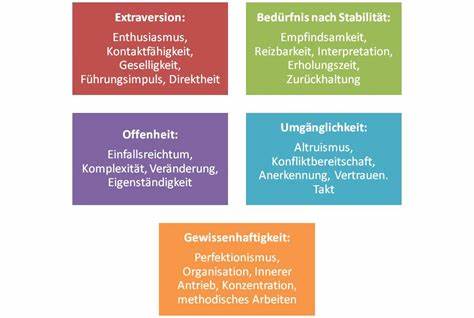 Big Five Persönlichkeitsfaktoren