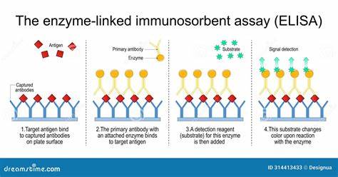 Elisa: A Comprehensive Guide to Enzyme-Linked Immunosorbent Assay
