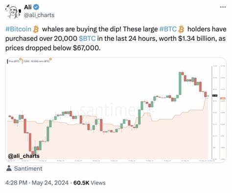 Bitcoin investment inflows hit $1B as long-term holders accumulate - Cointelegraph