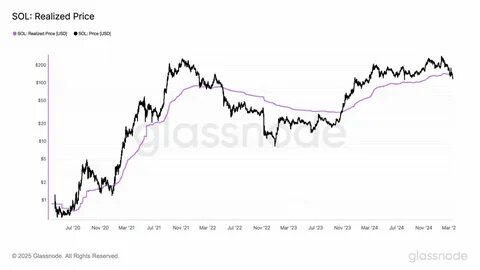 XRP Price Prediction: How High Can It Go in 2025? - CryptoDaily