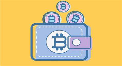 Everything You Need to Know About Bitcoin Wallets - CoinCodex