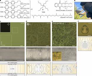 Biphasic liquids with shape-shifting and bistable microdomains