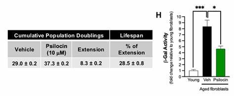 Psilocybin treatment extends cellular lifespan, improves survival of aged mice