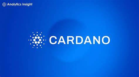 Cardano May Be Struggling, But It Has a Long-Term Case for the Patient - Yahoo Finance