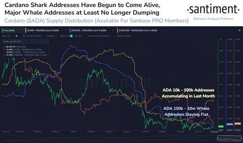 ‘ADA Wave Is Coming’: Cardano Whales Go On Buying Spree As Price Attempts Breakout - NewsBTC