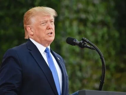 Man who lost over $700 million in Bitcoin begs Donald Trump for help - NonStop Local Billings