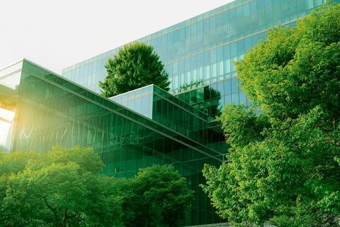 The perfect eco-friendly city break