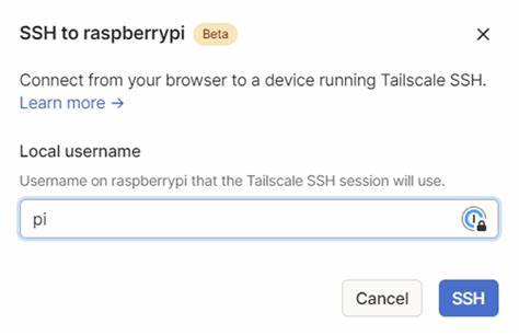 Show HN: Ts-SSH – SSH over Tailscale without running the daemon
