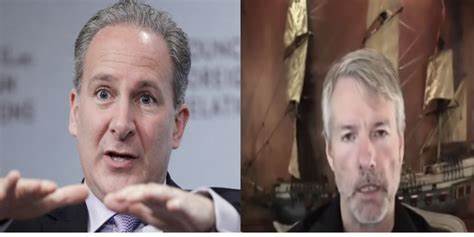 Peter Schiff Mockingly Tells Michael Saylor to Buy Off America’s Bitcoins - Binance