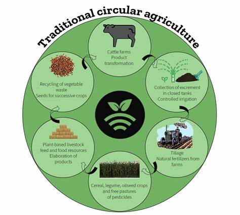 Moving toward circular agriculture thanks to nutrient separation from manure