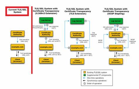 Ctail: Tail certificate transparency logs and extract hostnames