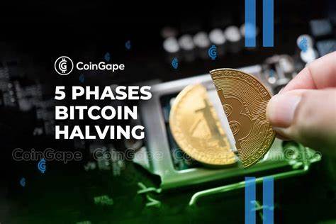 Bitcoin Halving Returns Analysed : An Overview - CoinGape