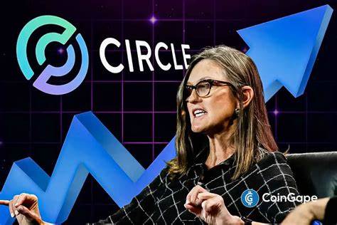 Did Cathie Wood Sell Circle Stock Too Soon?