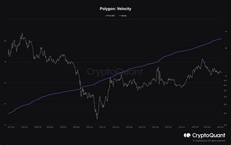 TON’s Transaction Volume Soars, Outpacing Layer 1 Competitors – CryptoQuant - Cryptonews