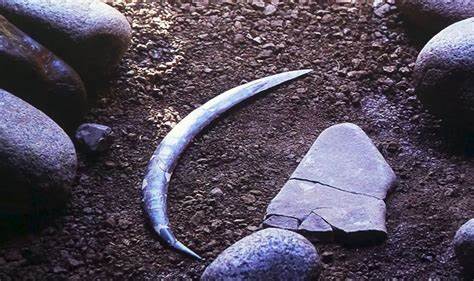 Oldest boomerang doesn't come back