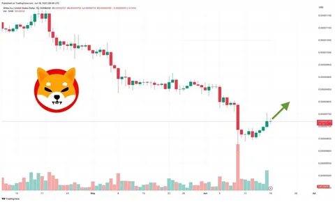 Shiba Inu Price Crashes Below Key Level as Daily Liquidations Top $1 Million - DailyCoin