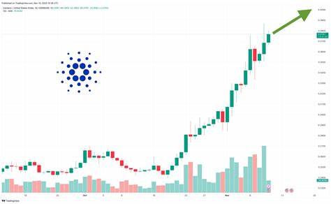 Cardano Price Prediction: Are Whales Accumulating ADA? The On-Chain Data May Surprise You