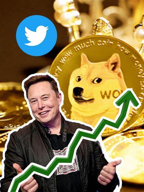 Dogecoin Price Rallies 16% In One Week Amid Elon Musk Support - CoinGape