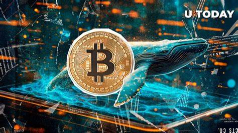 Bitcoin Whale Moves 2000 BTC as Price Stabilizes Above $100K