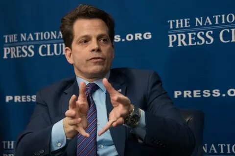 Anthony Scaramucci Says A Tesla–xAI Merger 'Feels Inevitable' As Shareholders Push For Investment In Grok Parent