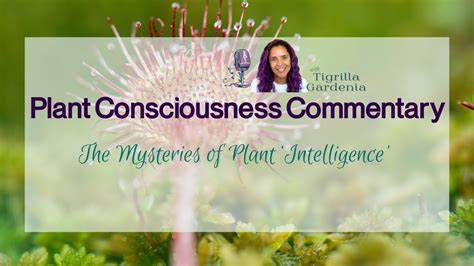 Mysteries of Plant "Intelligence