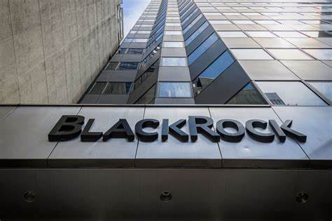 BlackRock reveals the only 2 cryptocurrencies worth buying - Finbold - Finance in Bold