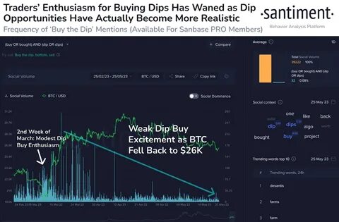 Which Altcoins Are Worth Buying in the Current Market Dip? - MSN