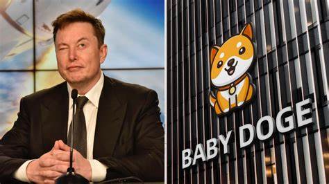 What is Baby Doge? Meet Elon Musk's new favourite cryptocurrency - India Today