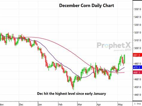 Corn Extending Gains on Friday Morning