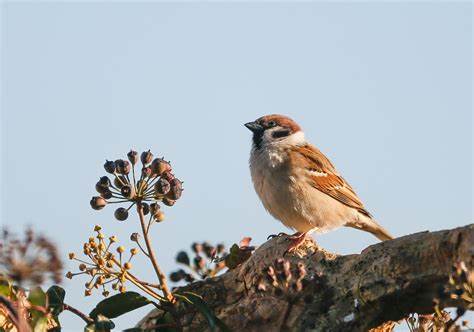 4.1 million+ Free Stock Photos for Download - Pixabay