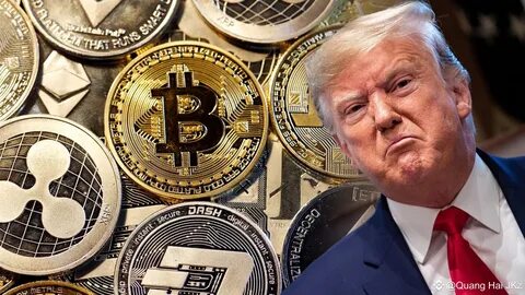 Trump to Reform USAID With Blockchain – Best Altcoins to Ride the Hype - Bitcoinist