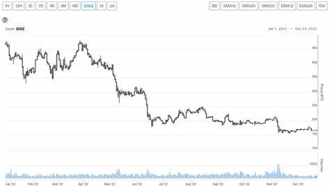 Bitcoin's 12% Price Rally on Thursday Was the Biggest Since February 2022 - CoinDesk