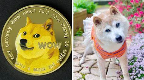 Dogecoin Inspiration Kabosu Dies at 18, Leaving a Lasting Legacy - The Dales Report