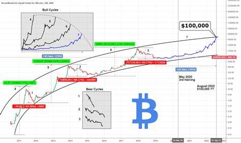Bitcoin price hits $100,000 – should you buy into the crypto boom? - MoneyWeek