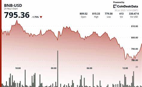 BNB Breaks Below $800 as Volume Patterns Point to Lack of Sustained Demand Despite Corporate Interest
