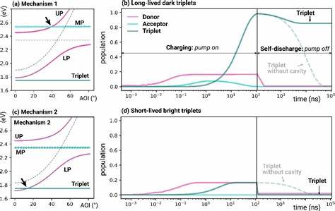 Extending Self-Discharge Time of Dicke Quantum Batteries with Molecular Triplets