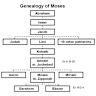 Whole-genome ancestry of an Old Kingdom Egyptian