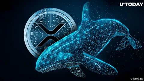 Will XRP Reach $5? Whale Moves $700 Million in XRP - Crypto Times