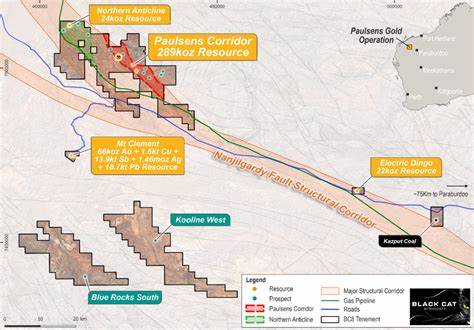 Black Cat Syndicate extends Paulsens gold project with new tenements