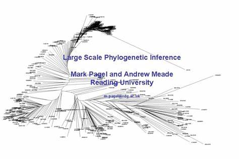 Large Scale Inference
