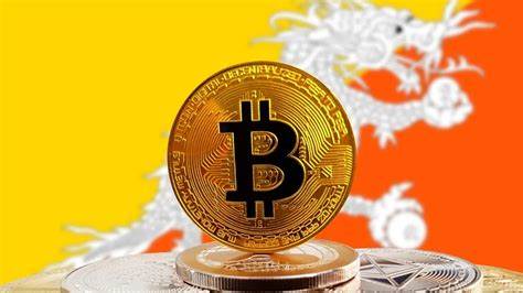 The strategic crypto reserve will fuel ecosystem growth
