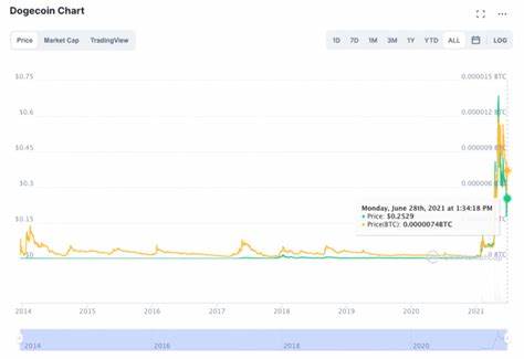 Dogecoin Targets $0.11 As Short-Term Traders Fuel DOGE Price – Details - Crypto Adventure