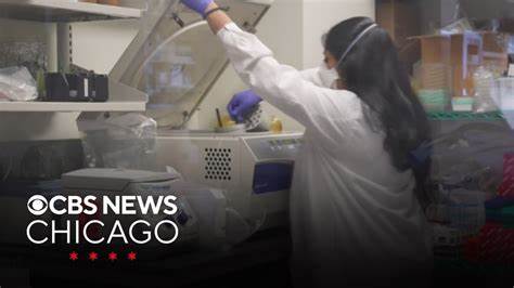 'Harmless' virus might trigger Parkinson's disease, researchers say