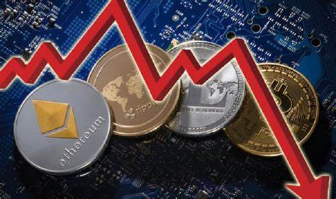 The Secret to Surviving Crypto Market Storms: CZ’s Essential Advice - La Noticia Digital