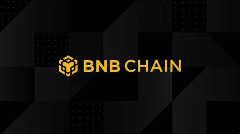 BNB Chain Teases New Blockchain with Privacy Features to Compete With Crypto Exchanges