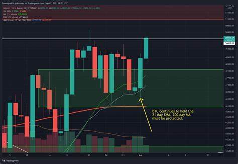 Bitcoin Price Could Drop to $45,000, Says Report – Will BTC Hold Support at $50K?