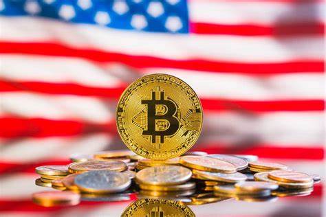 3 in 4 U.S. Investors Believe Crypto is Key to 2024 Election: Gemini Report - Crypto Times