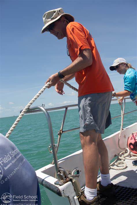 Marine biologist for a day: Ars goes shark tagging