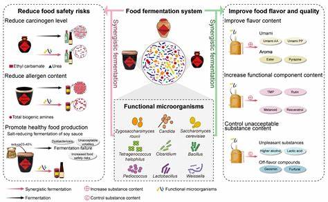ODFM, an omics data resource from microorganisms associated with fermented foods