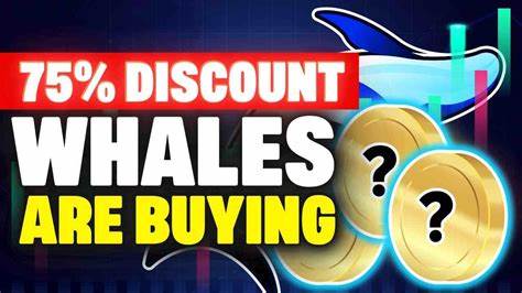 Crypto Whales are Buying These 2 Hot Altcoins - Altcoin Buzz